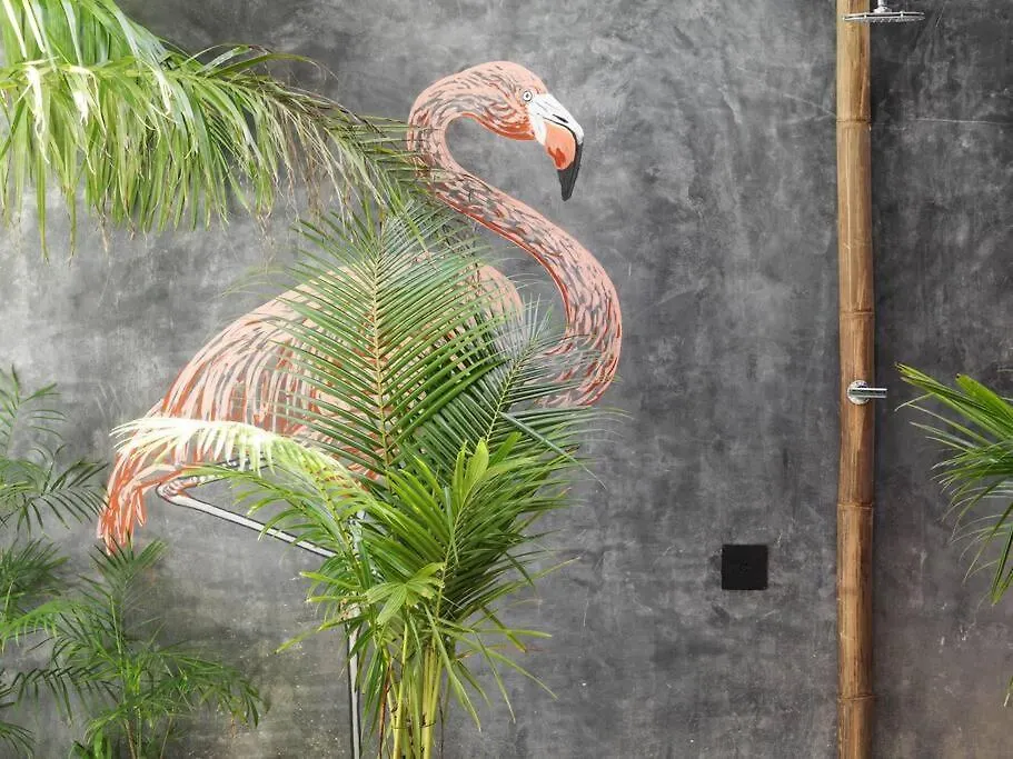 Whithe Elephat Casa Boutique We Tulum Mexico